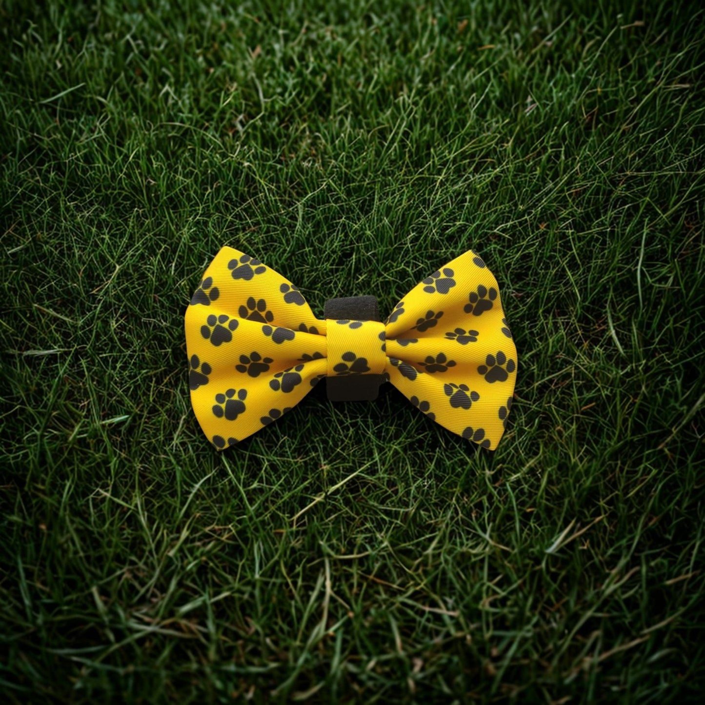 Lotibo Paw Harness Bundle (4 Piece)