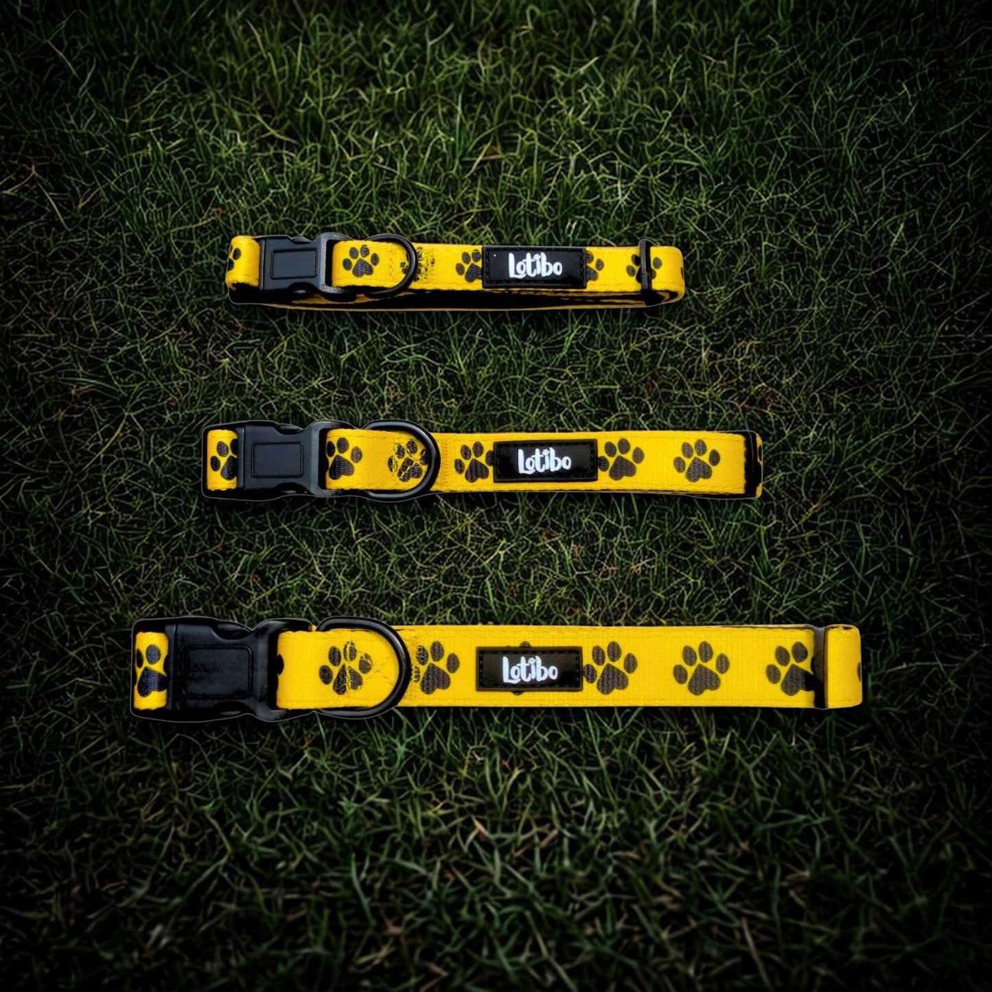 Lotibo Paw Print Dog Collar Bundle (4 Piece)