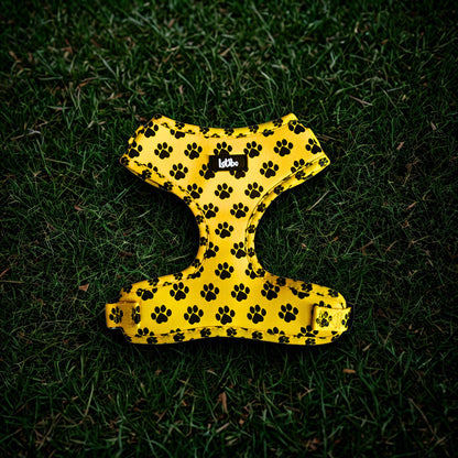 Lotibo Paw Harness Bundle (4 Piece)