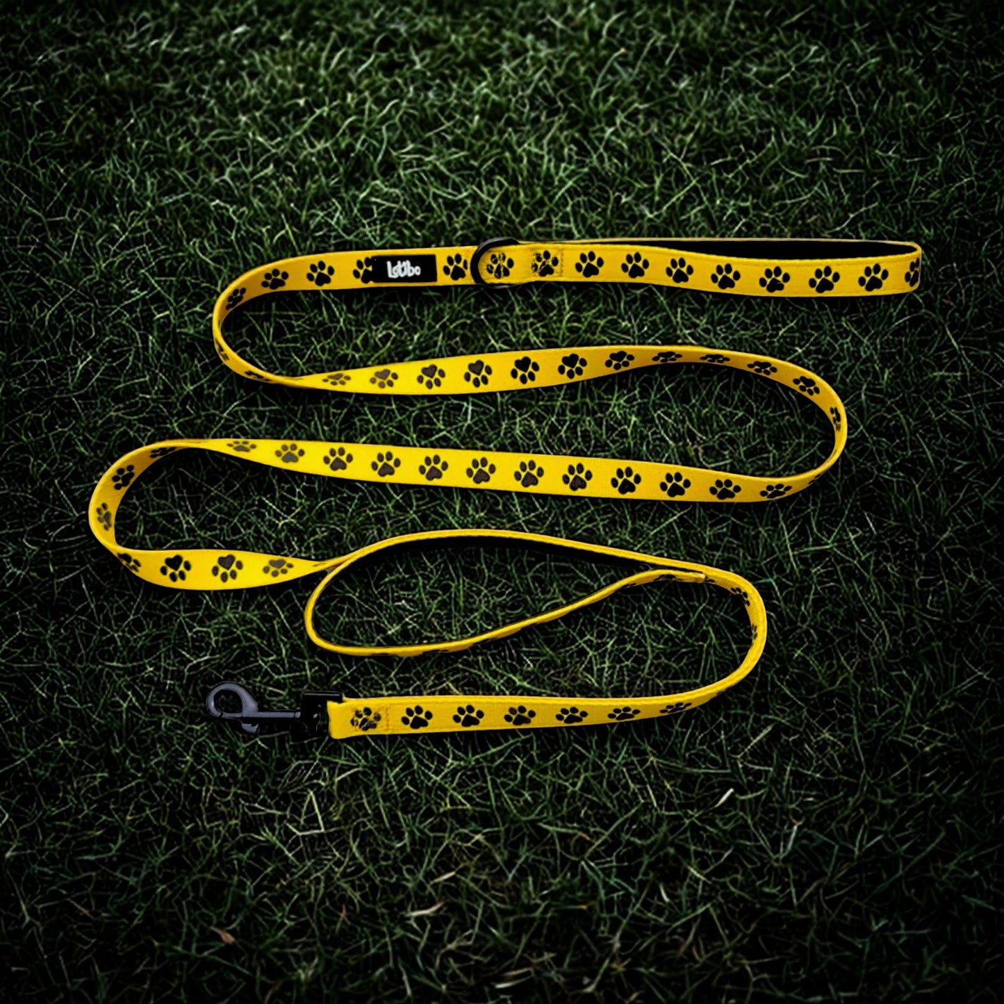 Lotibo Paw Harness Bundle (4 Piece)