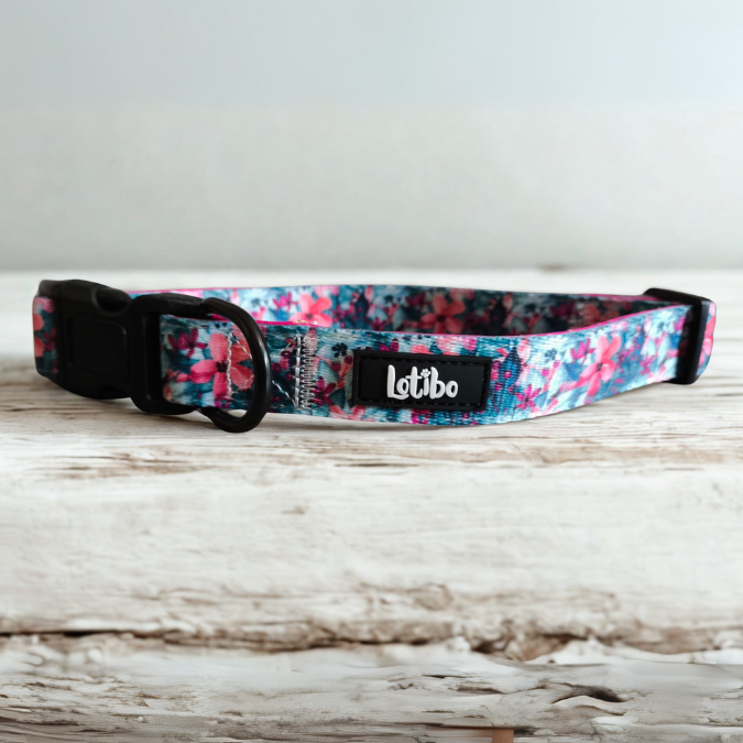 Pink & Blue Floral Collar