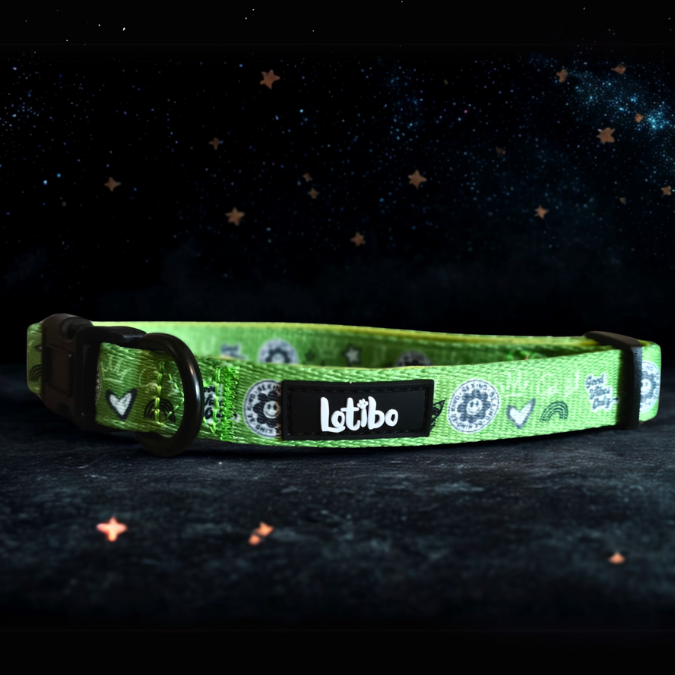 Green Doodle Collar