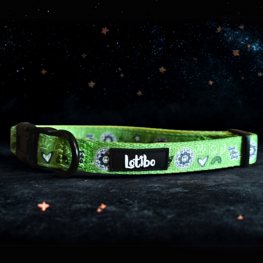 Green Doodle Collar