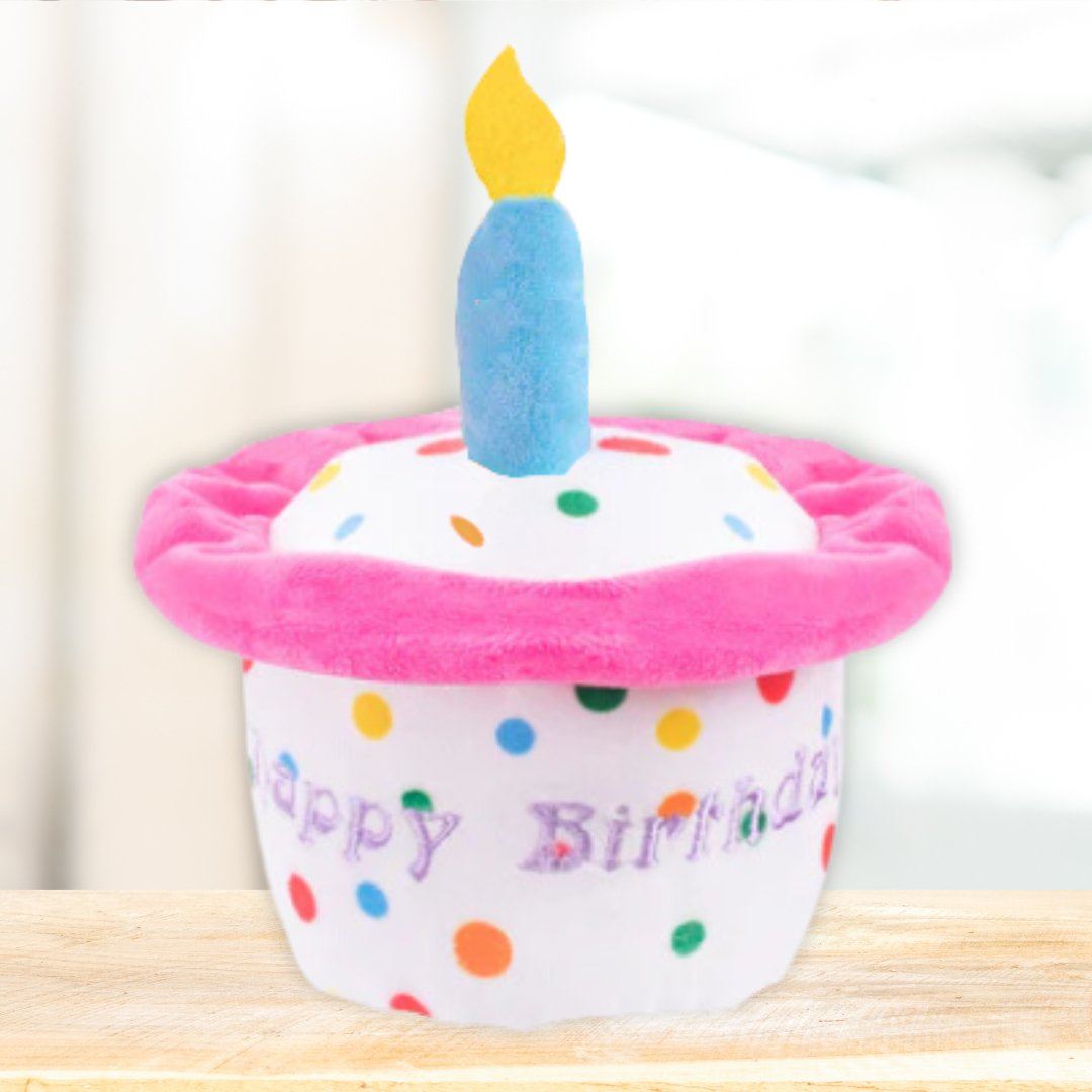 Birthday Cake Toy