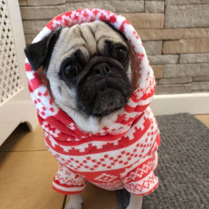 Dog & Human Snuggle Hoodies