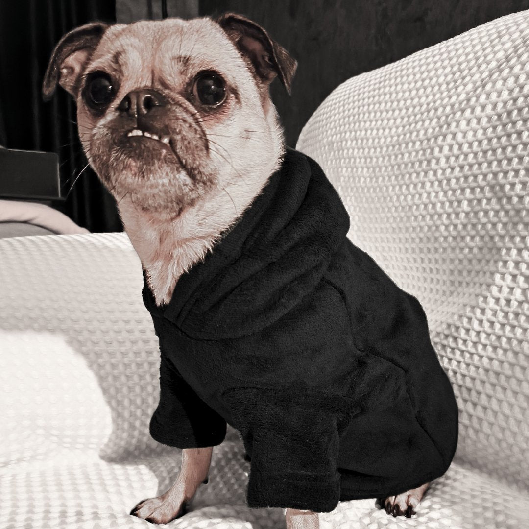 Dog & Human Snuggle Hoodies