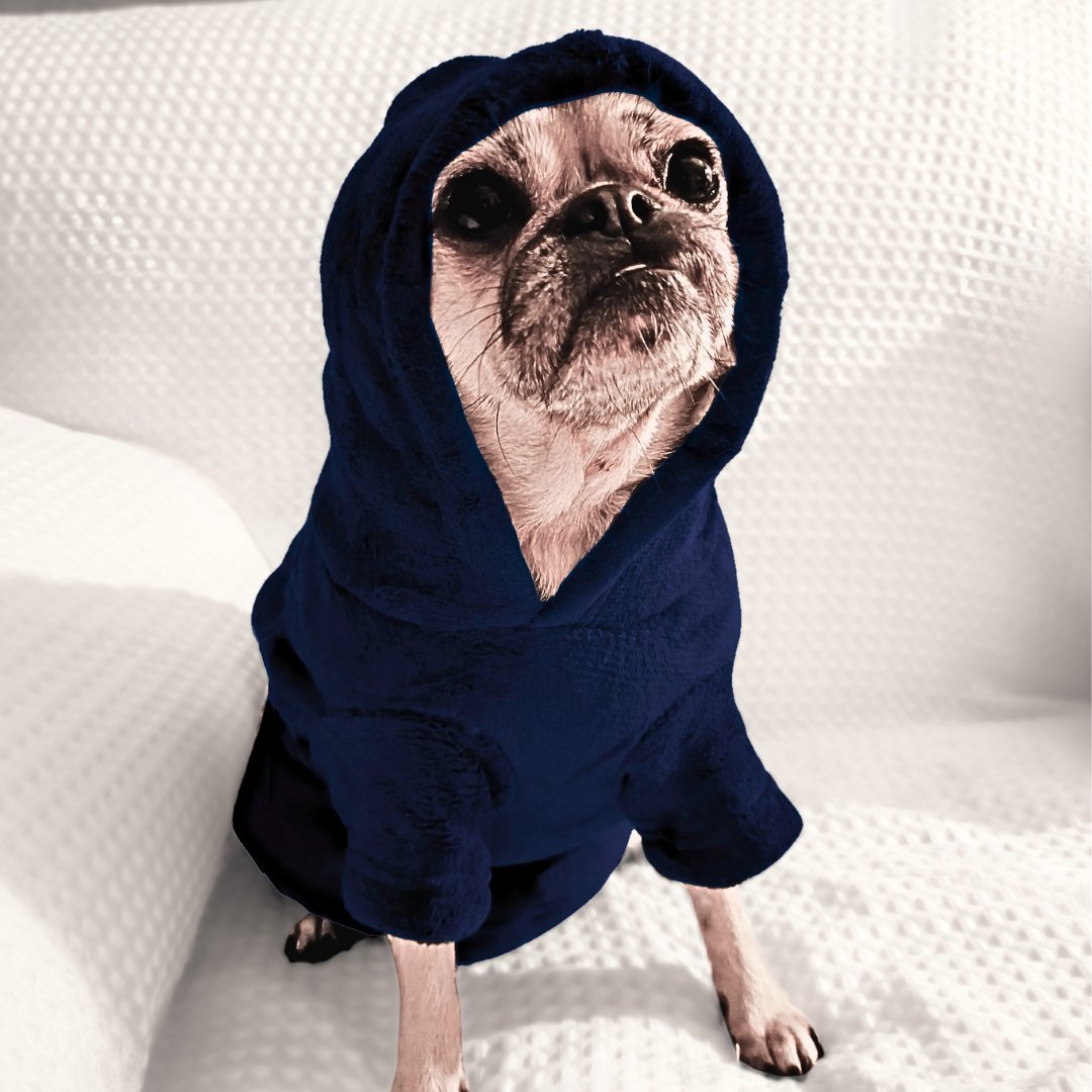 Dog & Human Snuggle Hoodies