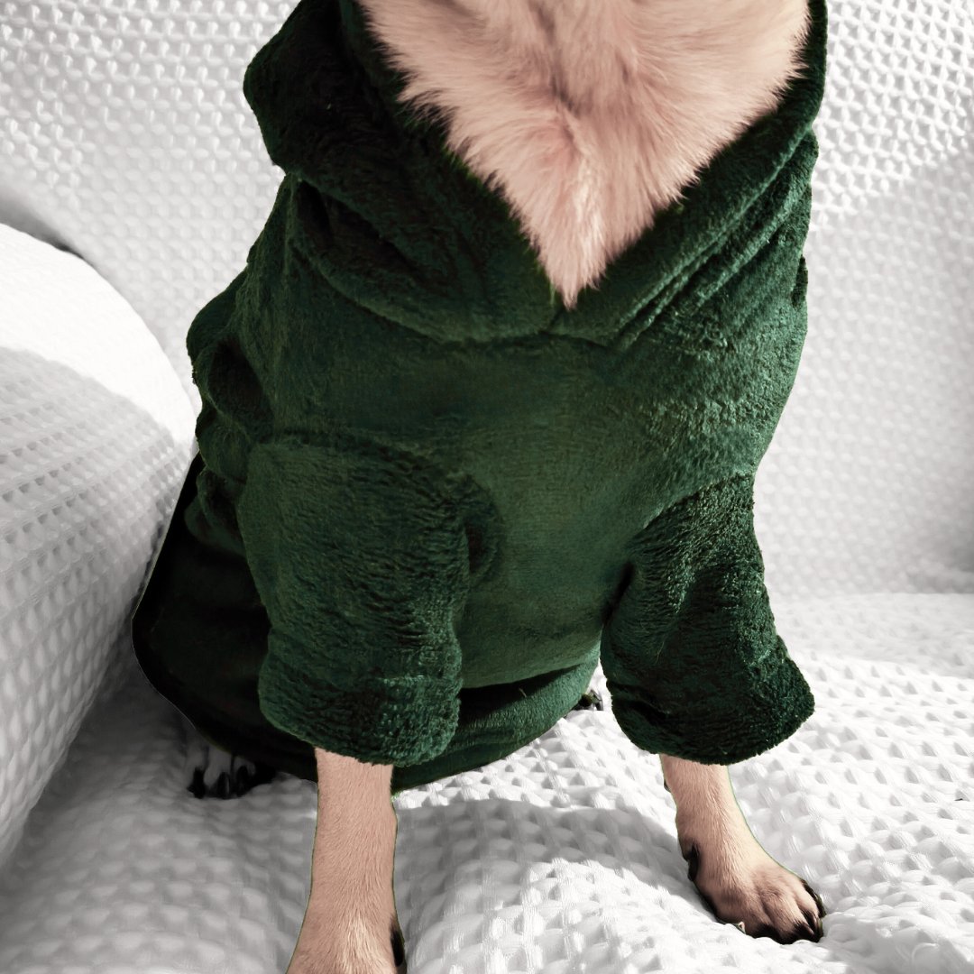 Dog & Human Snuggle Hoodies