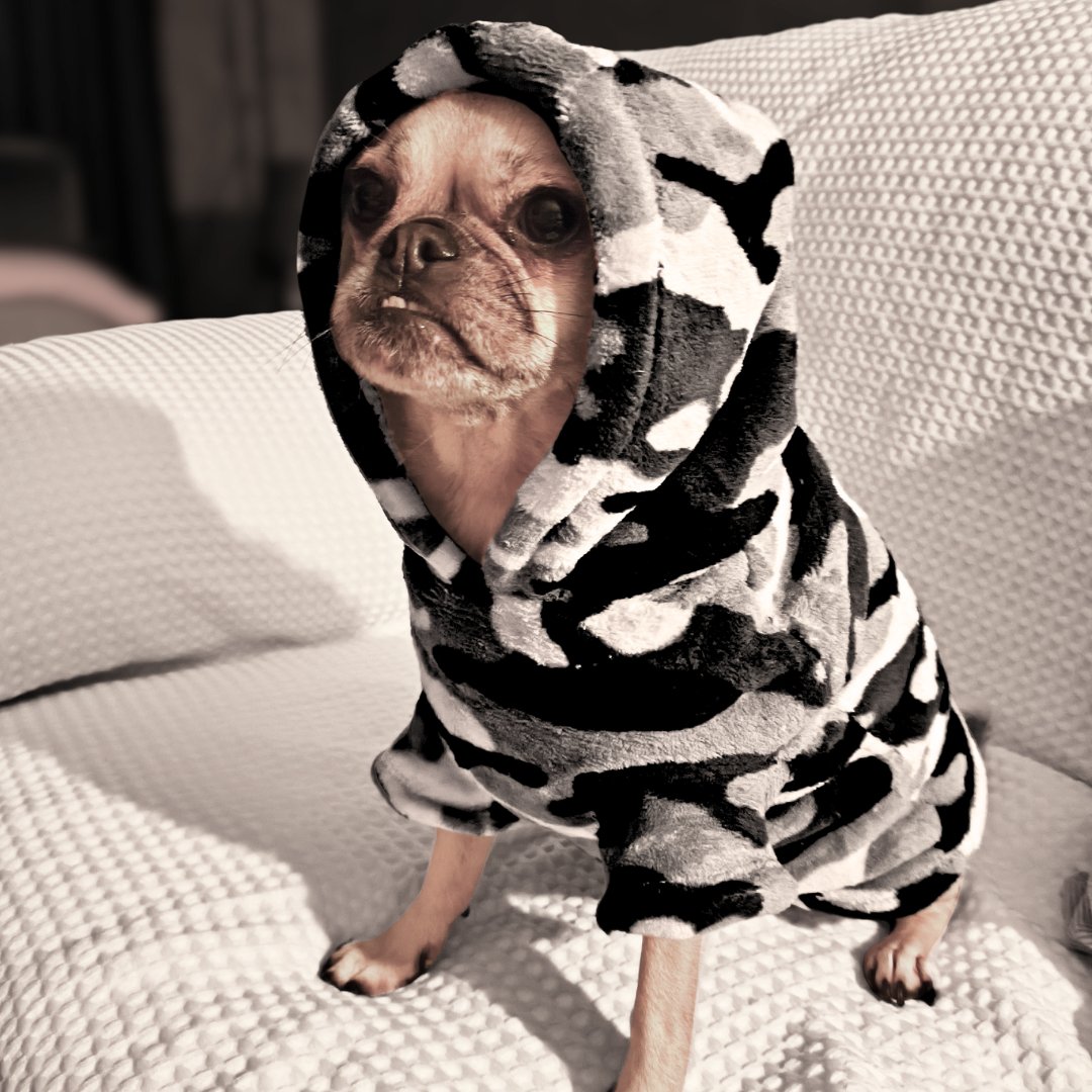 Dog Hoodie - Grey Camo Print