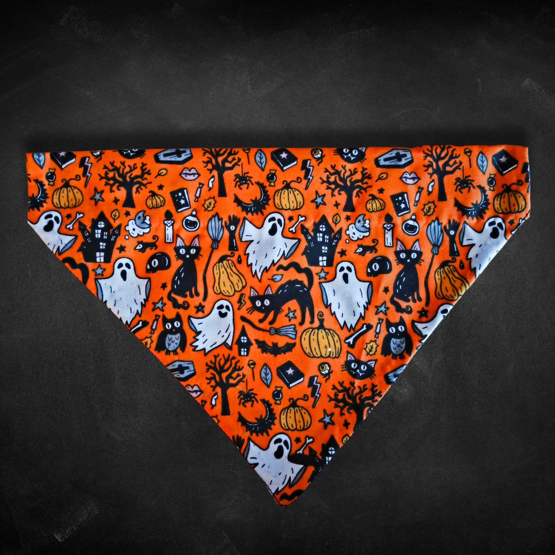 Halloween Bandana