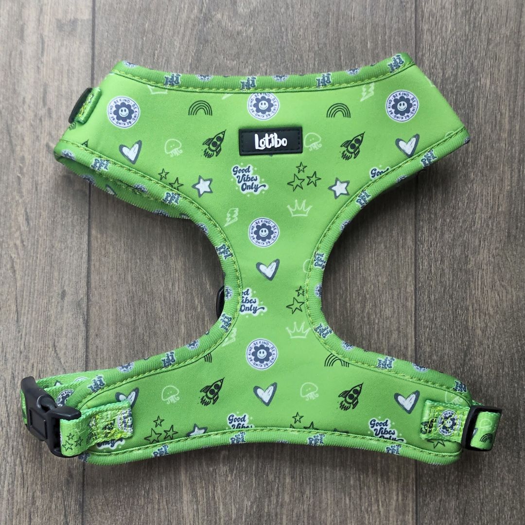 Green Doodle Print Neoprene Dog Harness