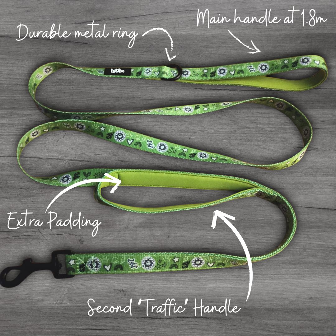 Green Doodle Lead
