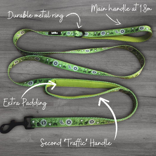 Green Doodle Lead