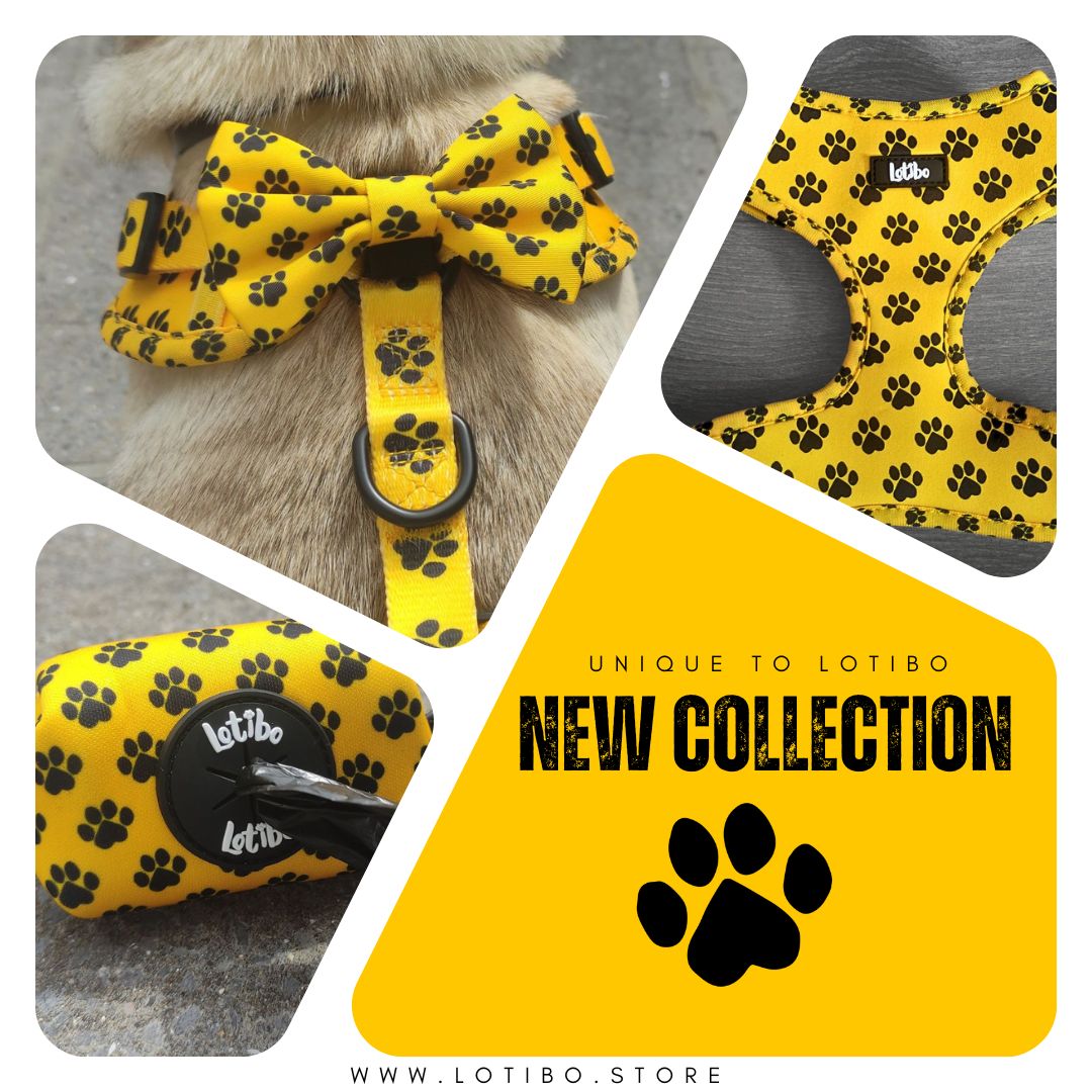 Lotibo Paw Bundle (5 Piece)