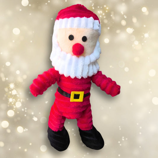 Santa Toy