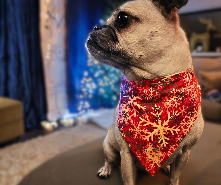 Red Christmas Bandana - Snowflakes